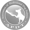 APDT Logo